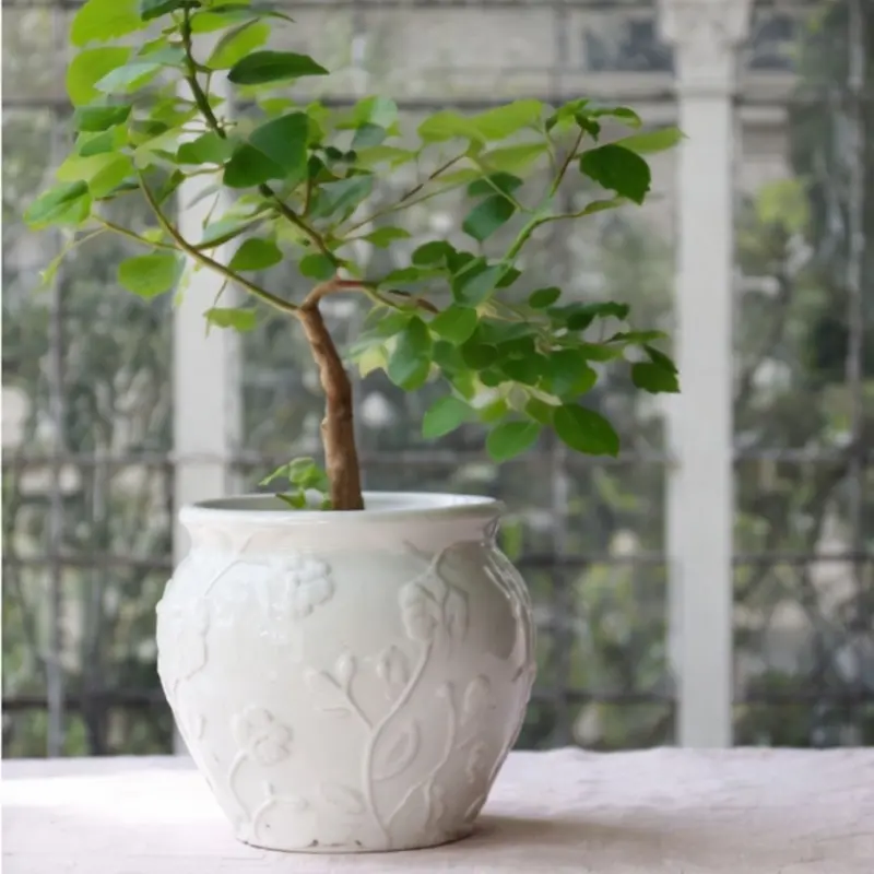 Eliza Glossy White Ceramic Pot 1
