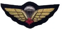 Jump Wings Mess Kit Cloth Patch – Paratrooper Design 1