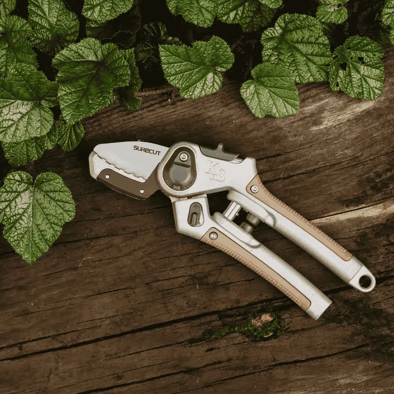 Kent & Stowe Surecut Hardwood Lite Pruning Secateurs 1