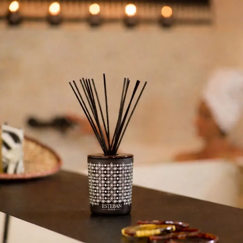 Teck & Tonka Decorative Reed Diffuser 1