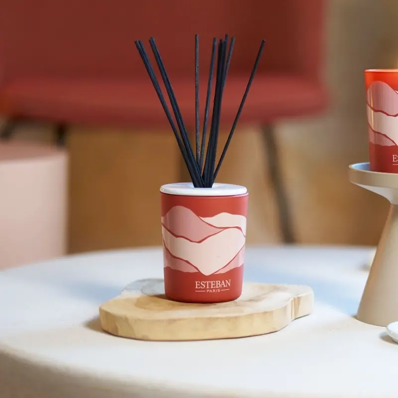 Terre D’Ocre Karité Reed Diffuser – Decorative Scent Dispenser 1
