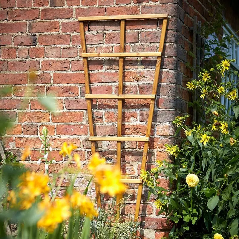 Tom Chambers Wooden Fan-Shaped Trellis 1