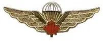 Vintage-Style Mess Kit With Metal Jump Wings Embellishment 1
